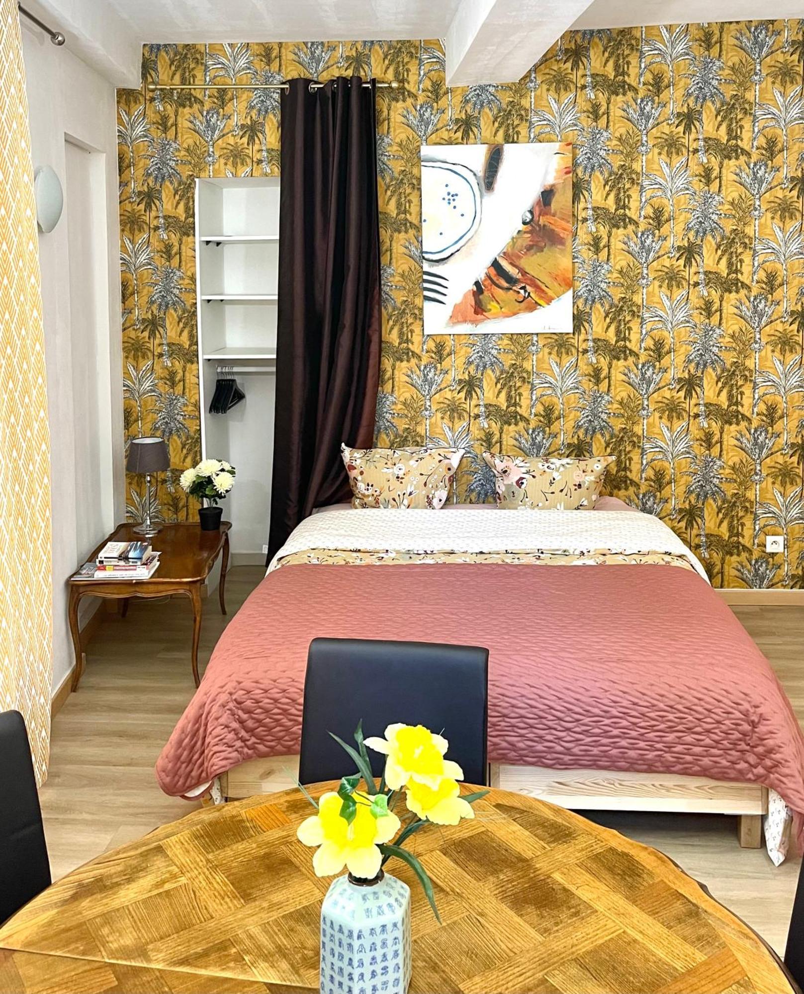 Art Apparts Coeur De Ville Béziers Kültér fotó